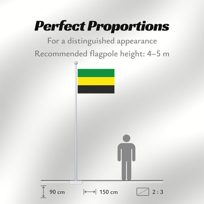 Flag Proportions: Puerto Libertador  Córdoba	Puerto Libertador (Córdoba)	Municipio de Puerto Libertador  Córdoba