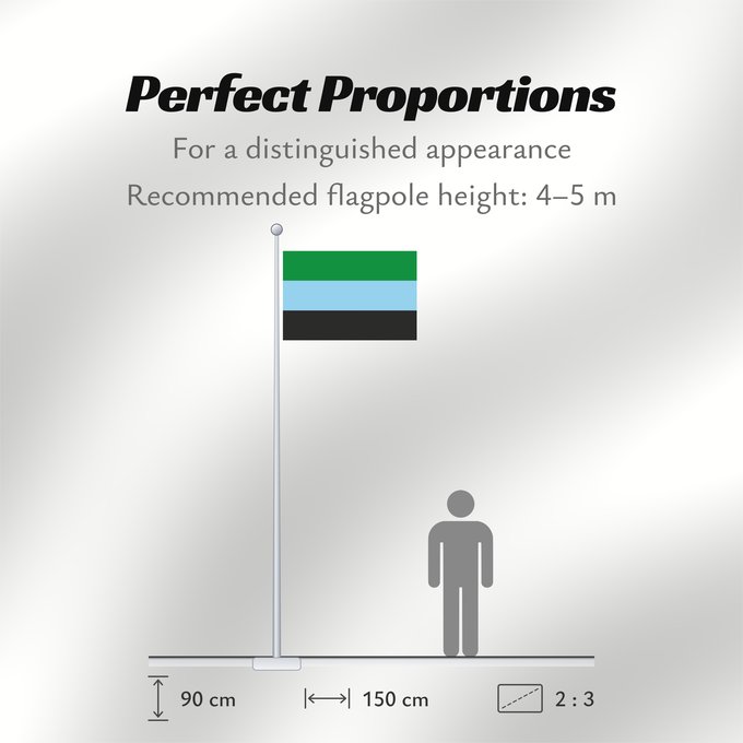 Flag Proportions: Puerto Wilches  Santander	Puerto Wilches	Municipio de Puerto Wilches  Santander