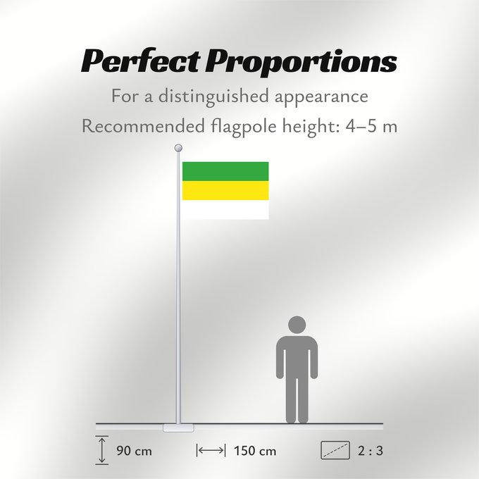 Flag Proportions: San Carlos de Guaroa  Meta	San Carlos de Guaroa (Meta)	Municipio de San Carlos de Guaroa  Meta