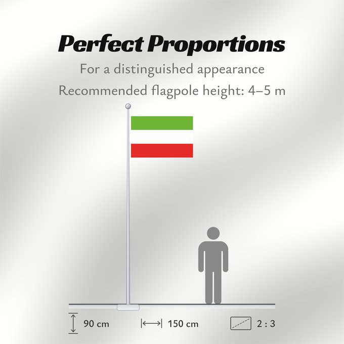Flag Proportions: San Juan de Arama, Meta