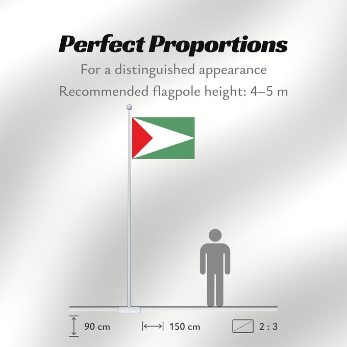 Flag Proportions: Sandoná  Nariño	Sandoná (Nariño)	Municipio de Sandoná  Nariño