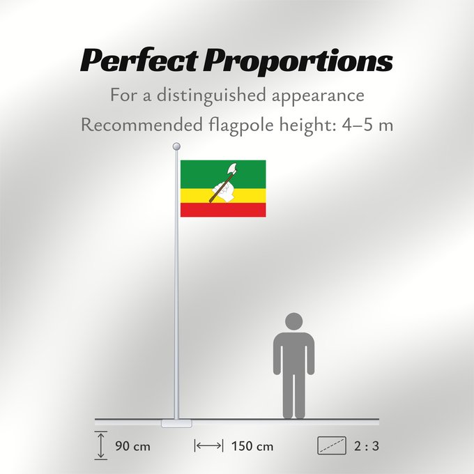 Flag Proportions: Saravena Arauca Saravena Municipio de Saravena Arauca
