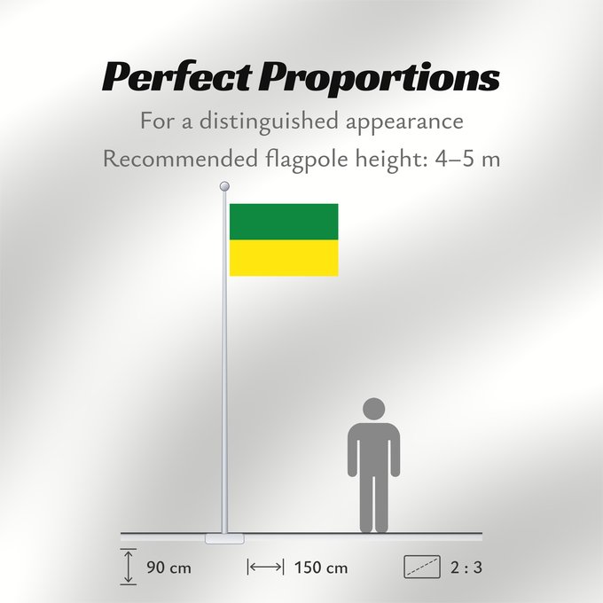 Flag Proportions: Subachoque