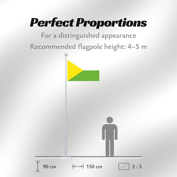 Flag Proportions: Taraira  Vaupés	Taraira	Municipio de Taraira  Vaupés
