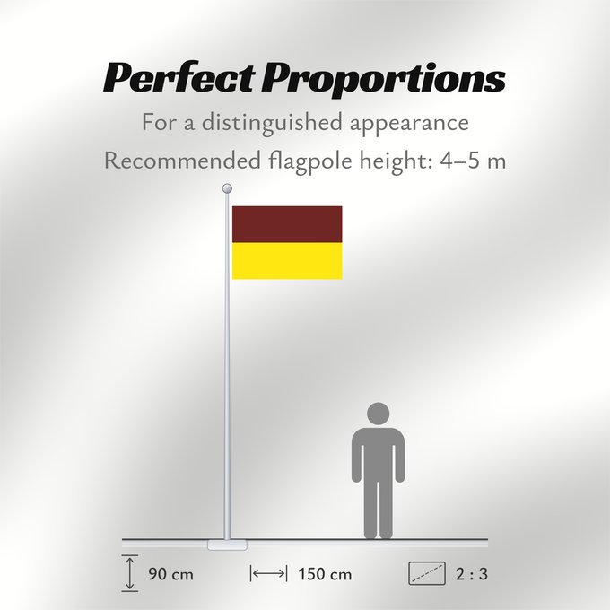 Flag Proportions: Tolima Tolima, Colombia