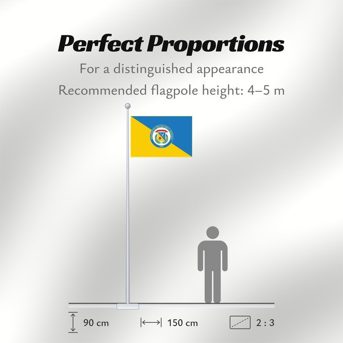 Flag Proportions: Universidad Militar Nueva Granada