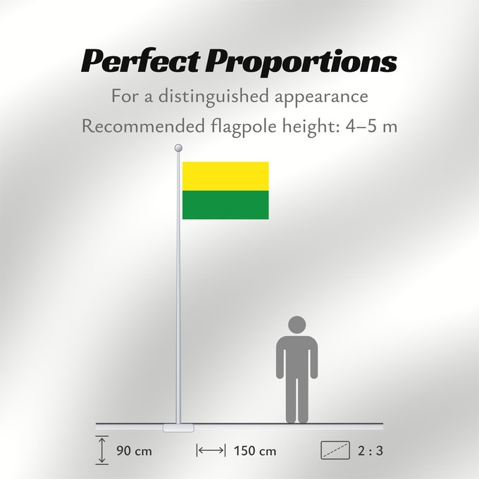 Flag Proportions: Vichada Vichada, Colombia