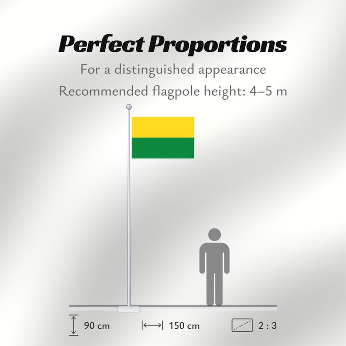 Flag Proportions: Vichada Department Vichada department, Colombia Département de Vichada Departamento de Vichada, Colombia Vichada-Departement Dipartimento di Vichada