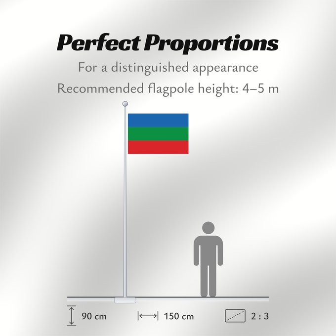 Flag Proportions: Villavicencio