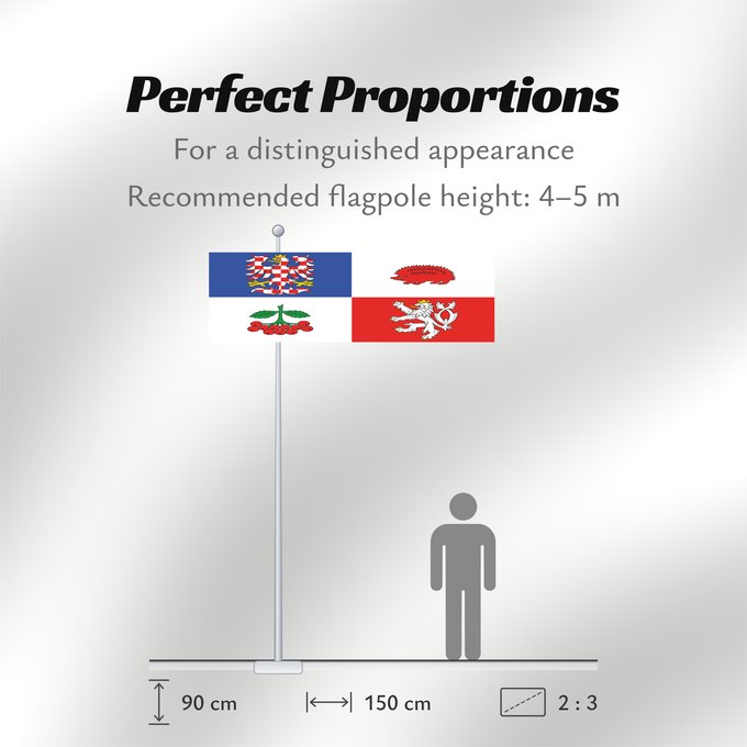 Flag Proportions: Vysocina Region Vysočina Region Région de Vysočina Región de Vysočina Region Vysočina