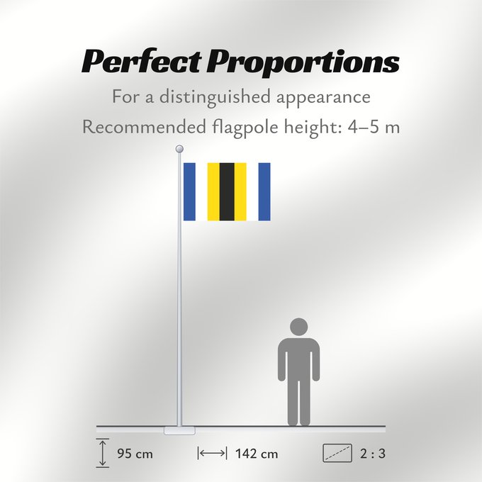 Flag Proportions: Borice Boritz Bořice, okres Chrudim