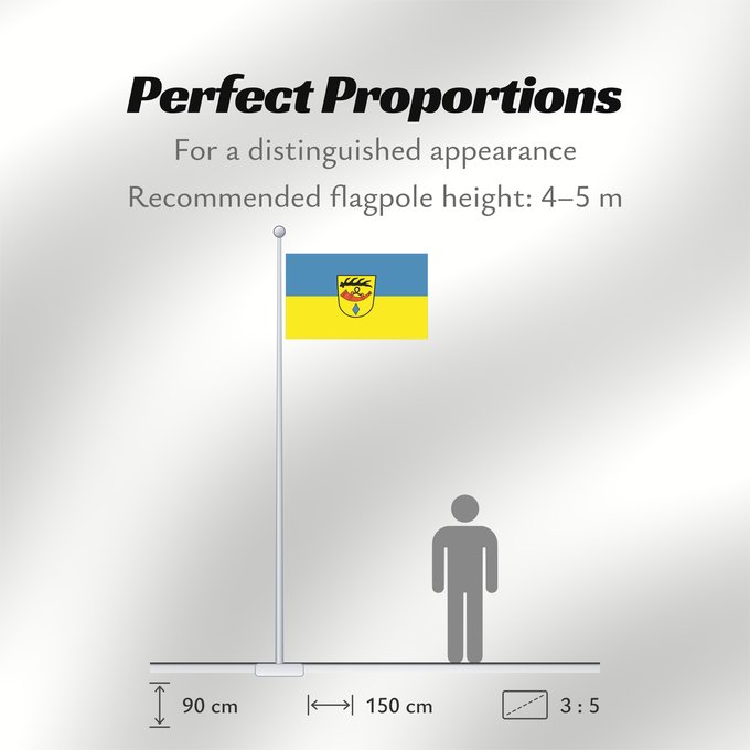 Flag Proportions: Nürtingen (Region Stuttgart)