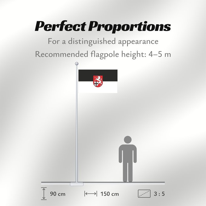 Flag Proportions: Tengen (Hegau)