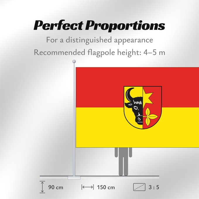 Flag Proportions: Brueel	City of Brüel	Ville de Brüel	Brüel	Stadt Brüel
