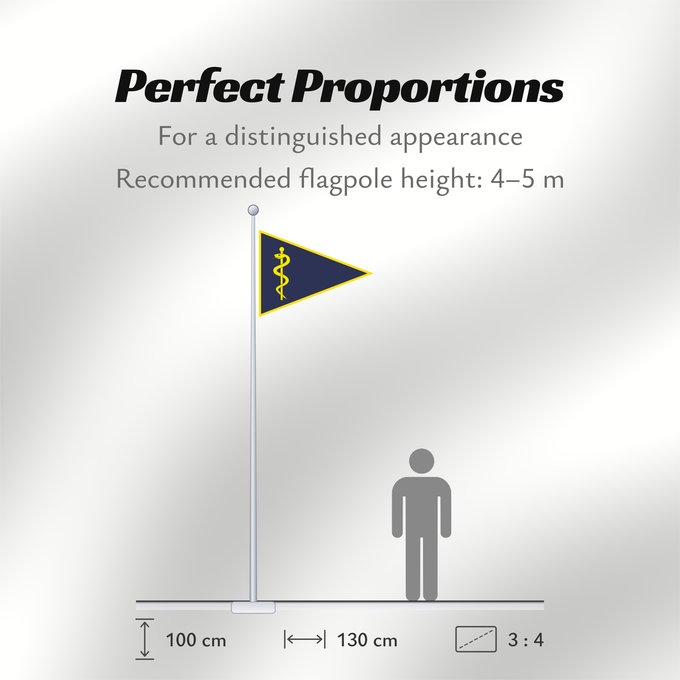 Flag Proportions: Chef Sanitätskompanie 2004