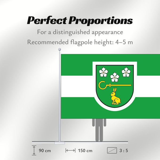 Flag Proportions: Sanitz German municipality of Sanitz Commune allemande de Sanitz Gemeinde Sanitz