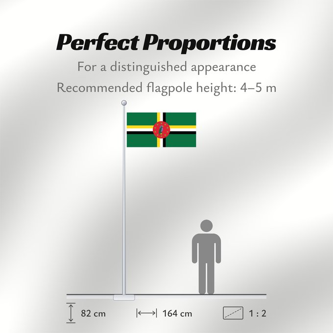 Flag Proportions: Dominica  1978–1981	Dominica 1978-1981	Dominique (1978–1981)	Dominica (1978–1981)