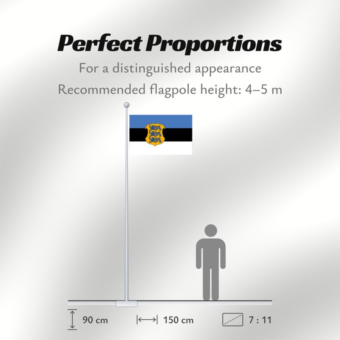 Flag Proportions: Estonia - Minister of Defence Estonian Minister of Defence Ministre de la Défense de l'Estonie Ministro de Defensa de Estonia Verteidigungsminister von Estland Ministro della Difesa dell'Estonia Kaitseministri lipp