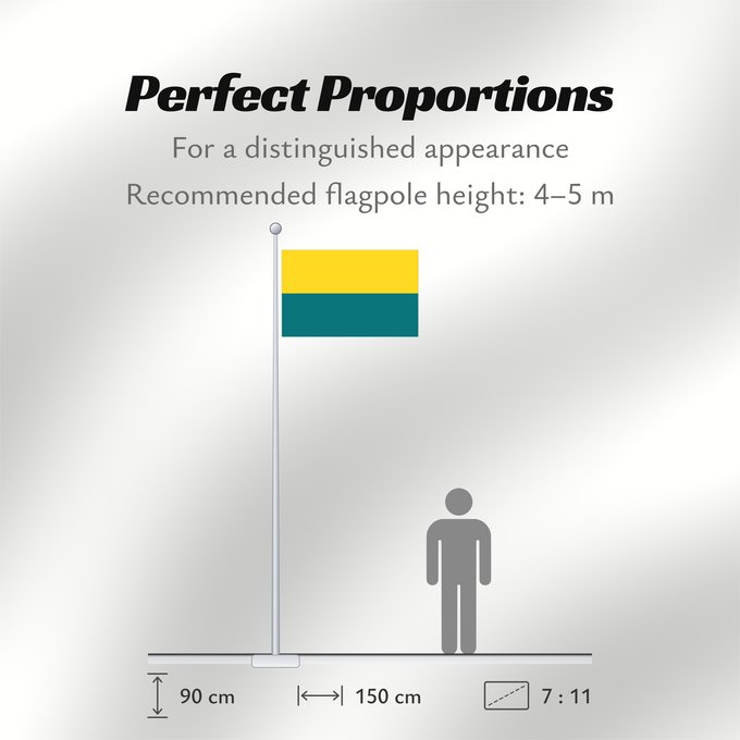 Flag Proportions: Et-Narva	Narva