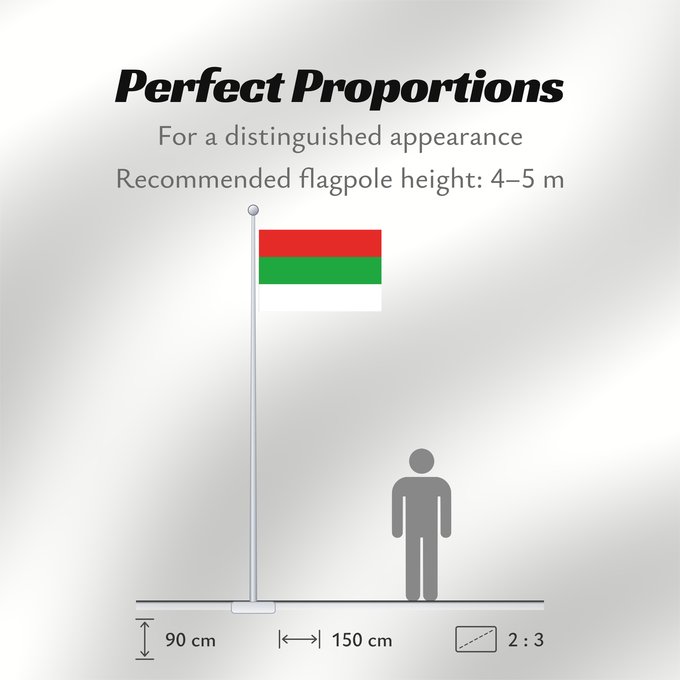 Flag Proportions: Liflandia Governorate	Gouvernorat de Liflandia	Gobernación de Liflandia	Gouvernement Liflandia	Governatorato di Liflandia