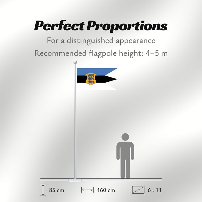 Flag Proportions: Naval Ensign of Estonia