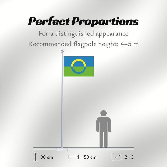 Flag Proportions: Võros old proposal Võros unofficial proposal Võros (proposition non officielle) Võros (propuesta no oficial) Võros (inoffizieller Vorschlag) Võros (proposta non ufficiale)