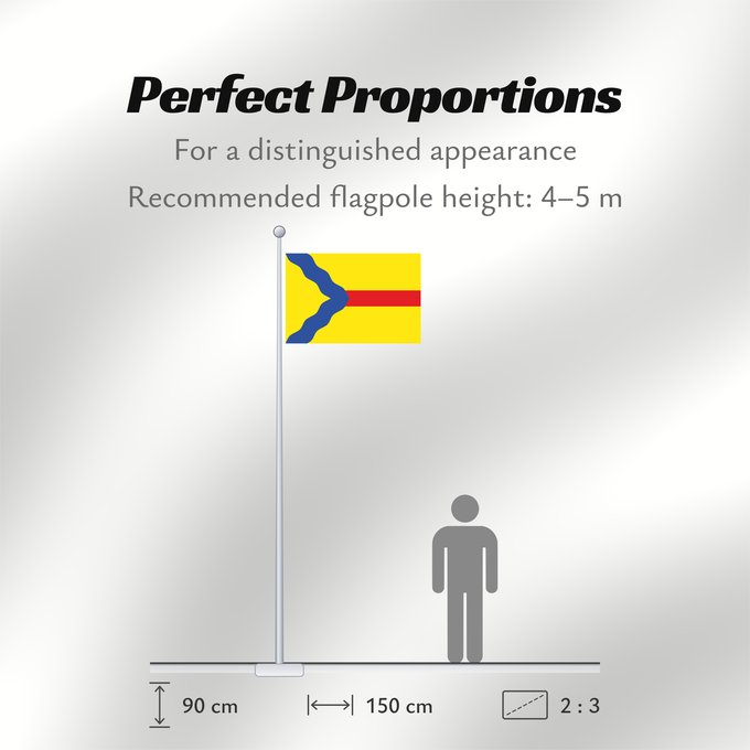 Flag Proportions: Asín Municipal de Asín - Zaragoza - España