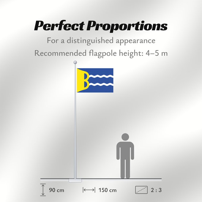 Flag Proportions: Bardallur	Bardallur - Zaragoza - Spain	Badnera de Bardallur - Zaragoza - Spain