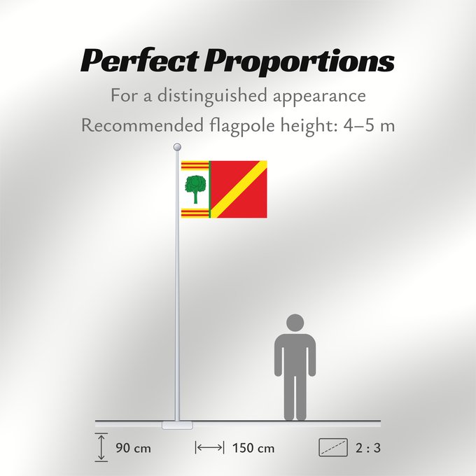 Flag Proportions: Barrachina Barrachina-Teruel-Spain Barrachina-Teruel