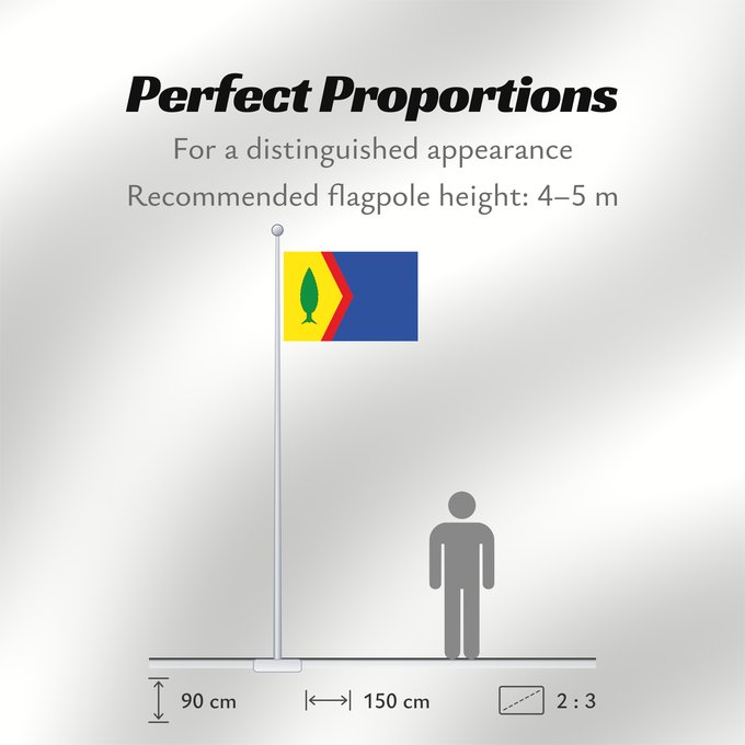 Flag Proportions: Chiprana