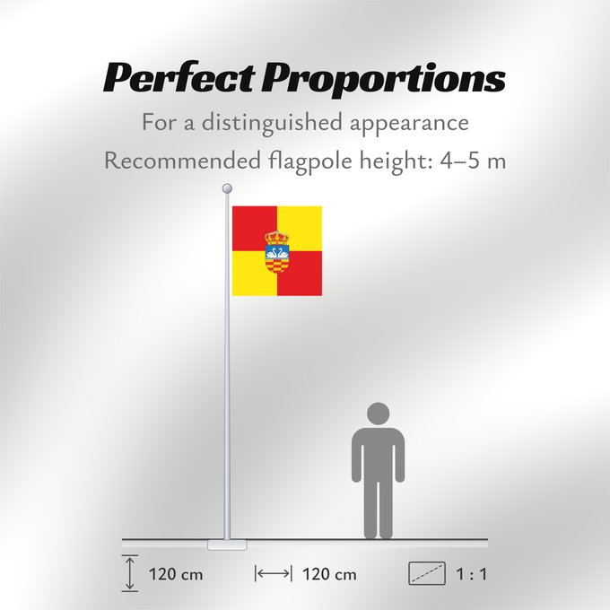 Flag Proportions: Cisneros Cisneros Palencia, Spain Municipal de Cisneros Palencia,Castilla y León
