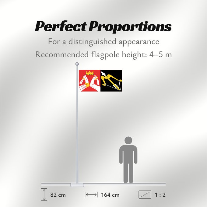Flag Proportions: Itä-Suomen lääni
