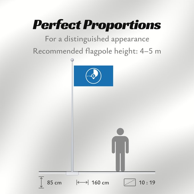 Flag Proportions: Yap	Guaire