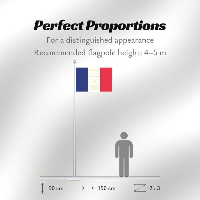 Flag Proportions: 5e régiment étranger d infanterie-drapeau 5e régiment étranger d’infanterie de l armée française