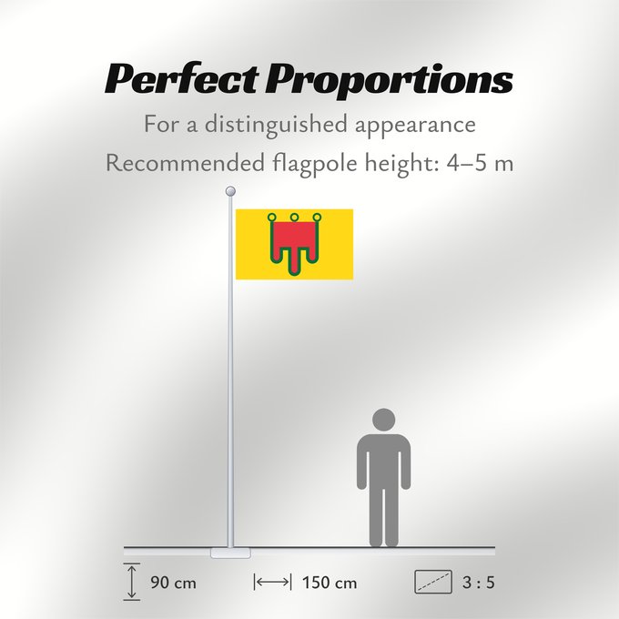 Flag Proportions: Auvergne Region Auvergne in France Région Auvergne en France Auvèrnia