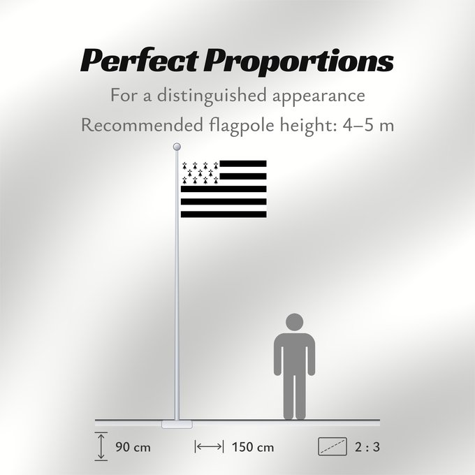 Flag Proportions: Brittany	The Gwenn-ha-du, flag of Brittany	Le Gwenn-ha-du, drapeau de la Bretagne	Spaniel Bretón	Bretagna	Ar Gwenn-ha-du, banniel Breizh