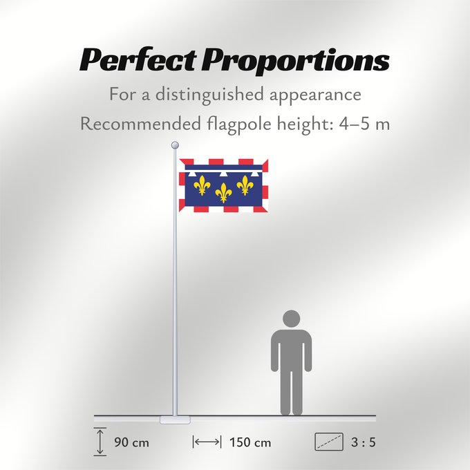 Flag Proportions: Centre-Val de Loire	Unofficial flag of Centre  region  in France	Non-officiel de la région Centre-Val de Loire en France	Centro	Centre	Banniel anofisiel Kreiz-Traoñ al Liger e Frañs
