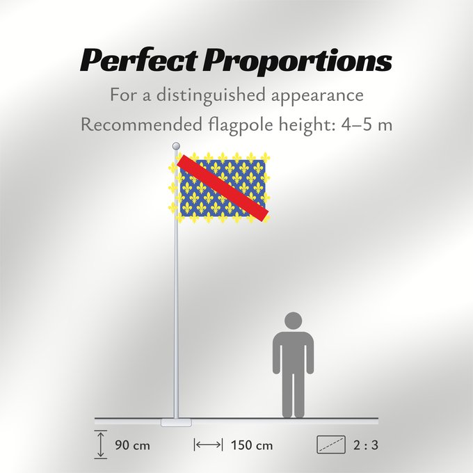 Flag Proportions: Fr département Allier Allier Département de l Allier