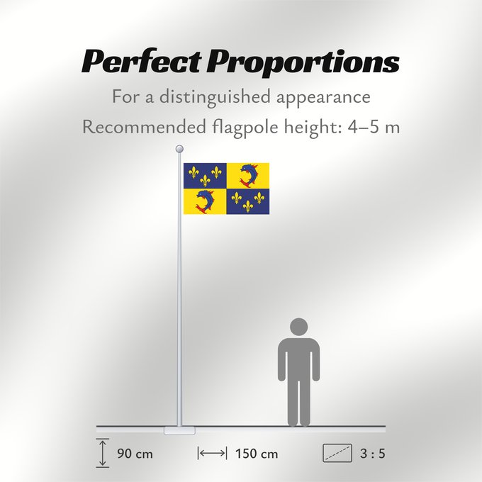Flag Proportions: Dauphiné Region Daupiné in France Région Dauphiné en France Dalfinat Delfinato