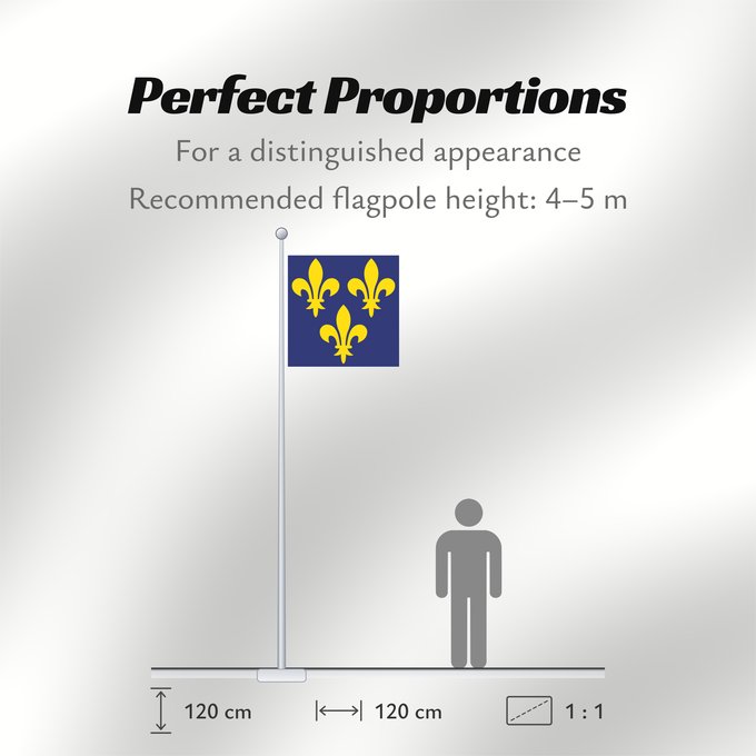 Flag Proportions: France XIV-XVI France during the 14th through 16th centuries France (XIVE-XVIE siècles) Francia (siglos XIV-XVI) Frankreich (14.-16. Jahrhundert) Francia del XIV-XVI secolo