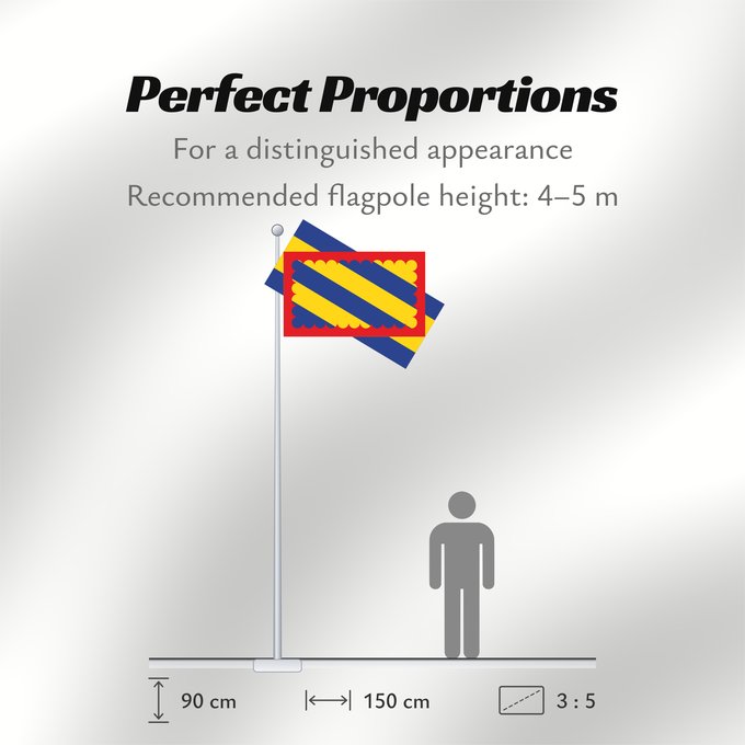 Flag Proportions: Nivernais French province of Nivernais