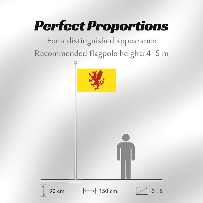 Flag Proportions: Somerset