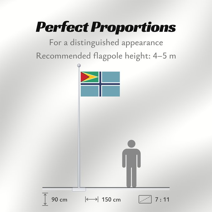 Flag Proportions: Civil Air Ensign of Guyana