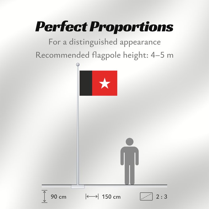 Flag Proportions: Republic of Independent Guyana  1887-1904	Republic of Independent Guyana between 1887 - 1904	République indépendante de Guyane  1887-1904	República Independiente de Guayana (1887-1904)	Republik Unabhängiges Guyana (1887-1904)	Repubblica Indipendente della