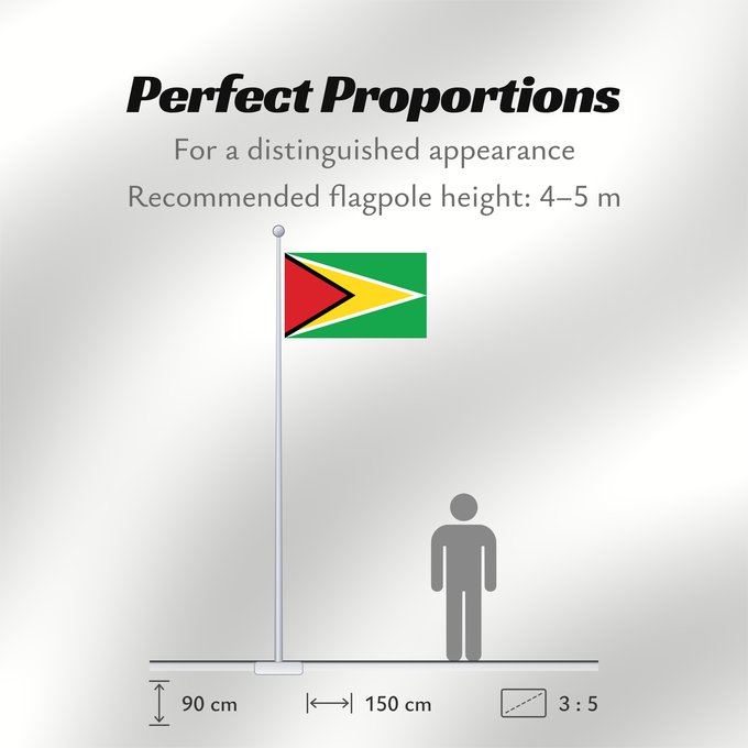 Flag Proportions: Guyana	Guiana	Wayana wiphala	Gujano	Gwayana	Wayana unancha	Флаг Гайаны	Guyanas	Quốc kỳ Guyana