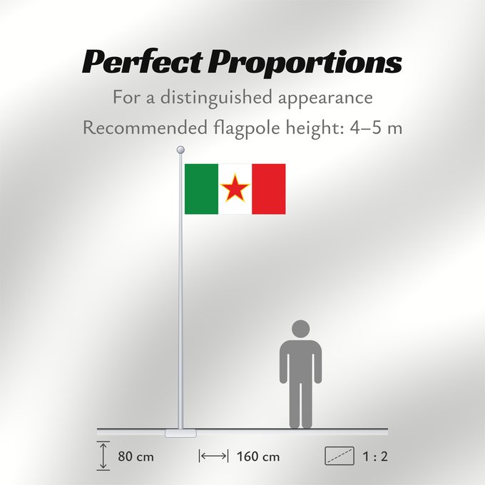 Flag Proportions: SFR Yugoslav Italian Minority	Image by User R-41 of the former Yugoslav Italian minority flag	Minorité italienne yougoslave (ancienne)	Minoría italiana yugoslava (anterior)	Jugoslawische italienische Minderheit (ehemalig)	Minoranza italiana jugoslava (ex)