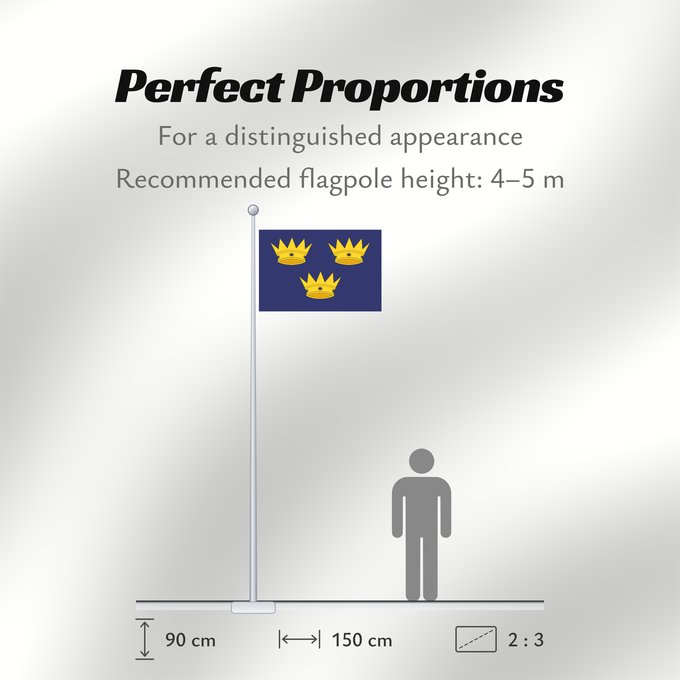 Flag Proportions: Munster