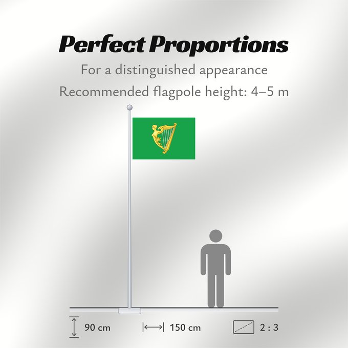 Flag Proportions: Green harp flag of Ireland A traditional green harp flag of Ireland with a slightly different harp from File Arms of Ireland Historical