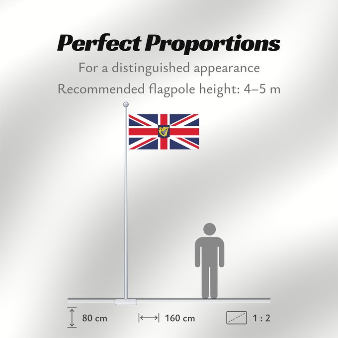 Flag Proportions: Lord Lieutenant of Ireland	Lord Lieutenant d'Irlande	Lord Teniente de Irlanda	Lord Lieutenant von Irland	Lord Luogotenente d'Irlanda