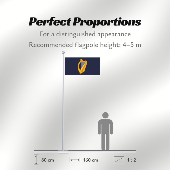 Flag Proportions: President of Ireland Presidential Flag of Ireland with alternate official state harp design Étendard présidentiel d'Irlande (motif de harpe alternatif) Estandarte Presidencial de Irlanda (diseño alternativo de arpa) Präsidentenstandarte von Irland (abweic